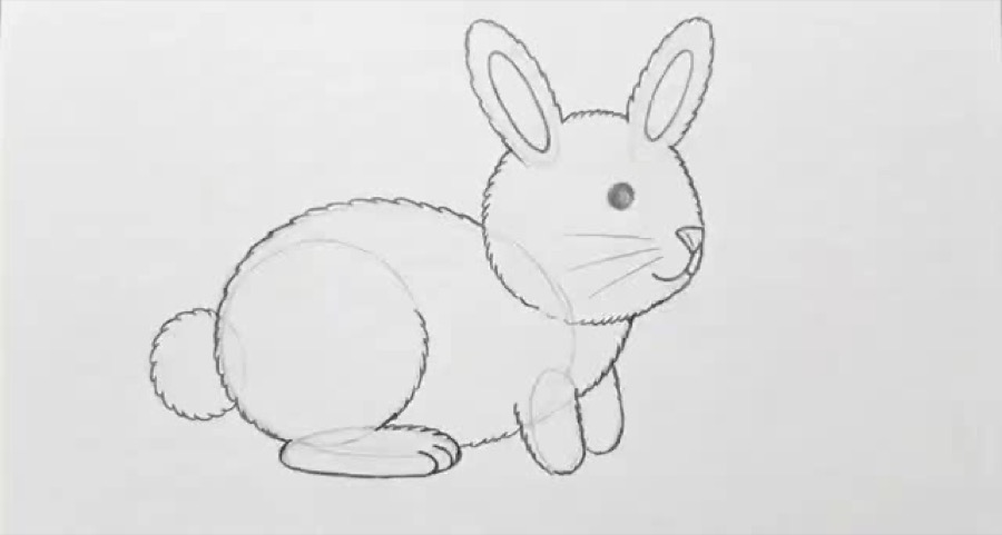 Pencil drawing of a rabbit